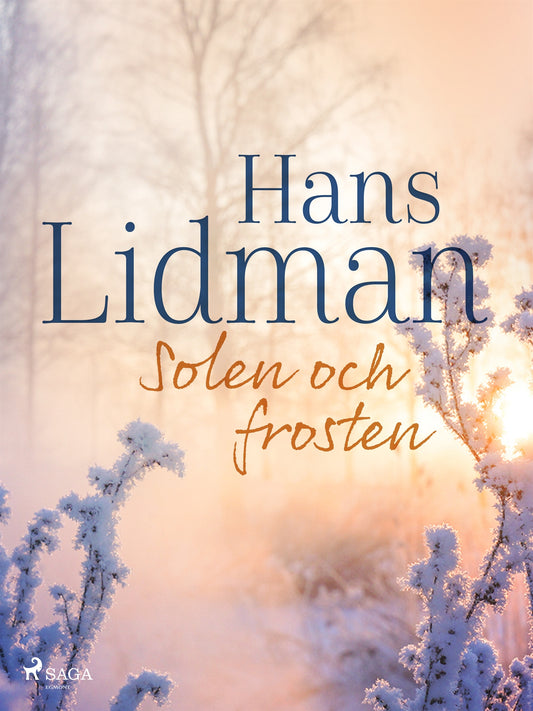 Solen och frosten – E-bok