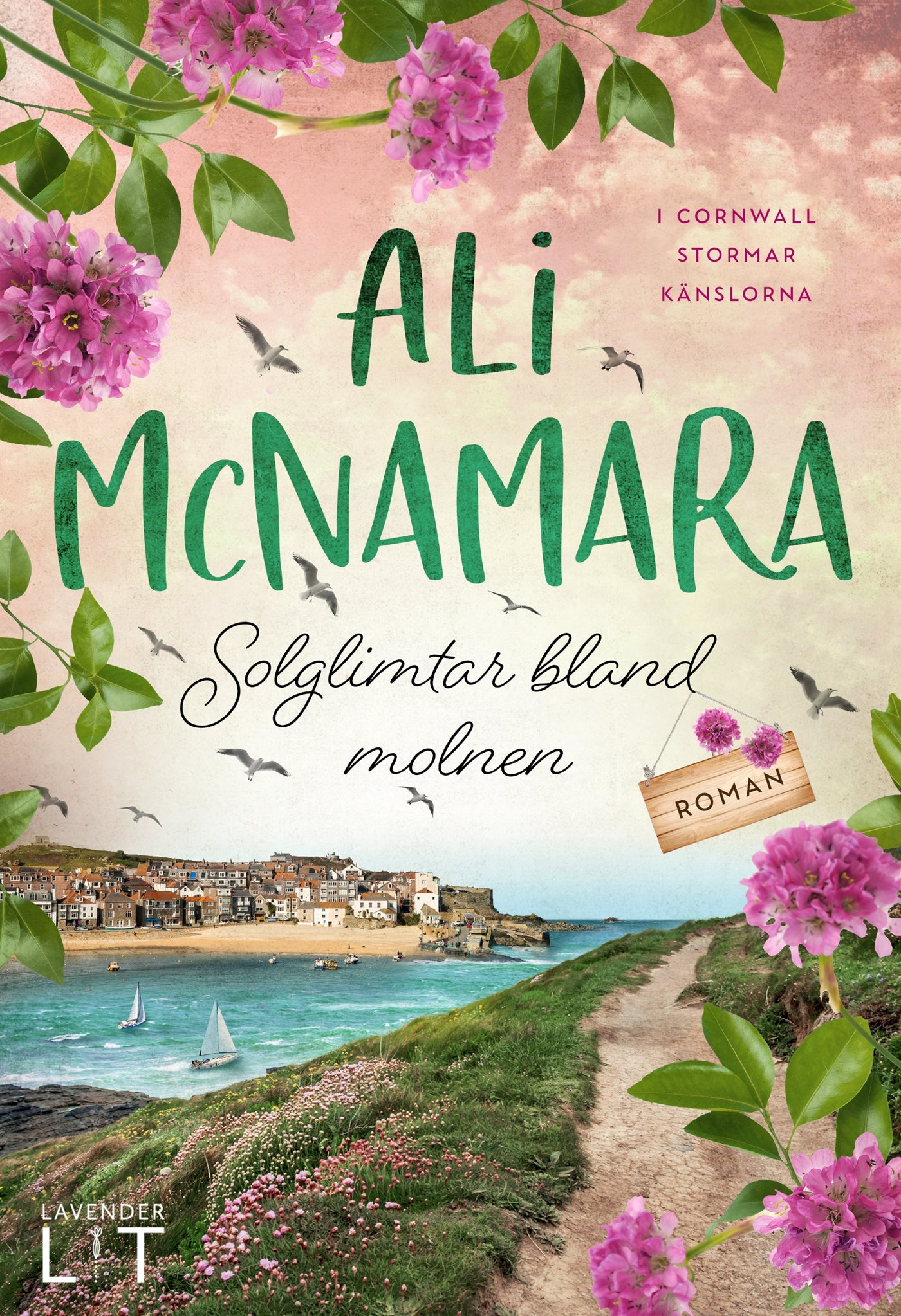 Solglimtar bland molnen – E-bok
