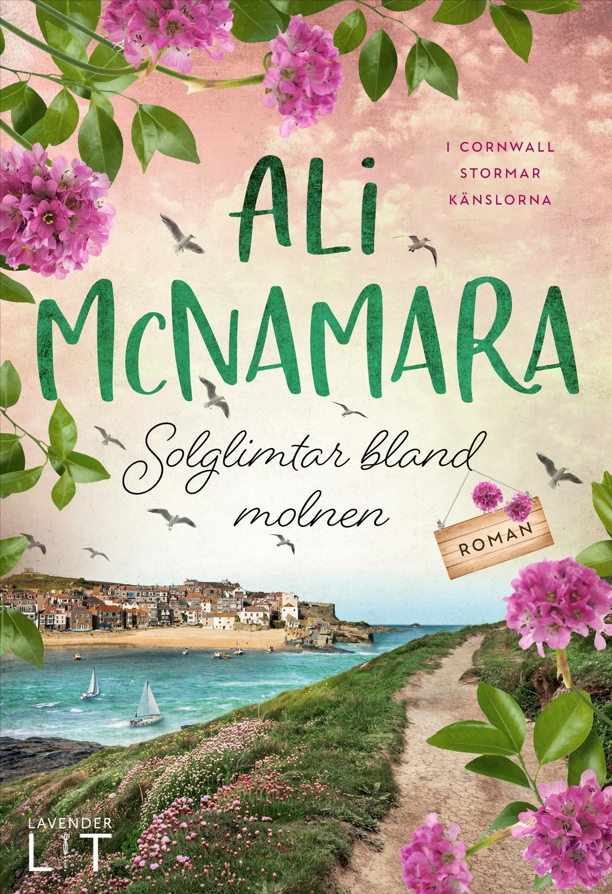 Solglimtar bland molnen – E-bok