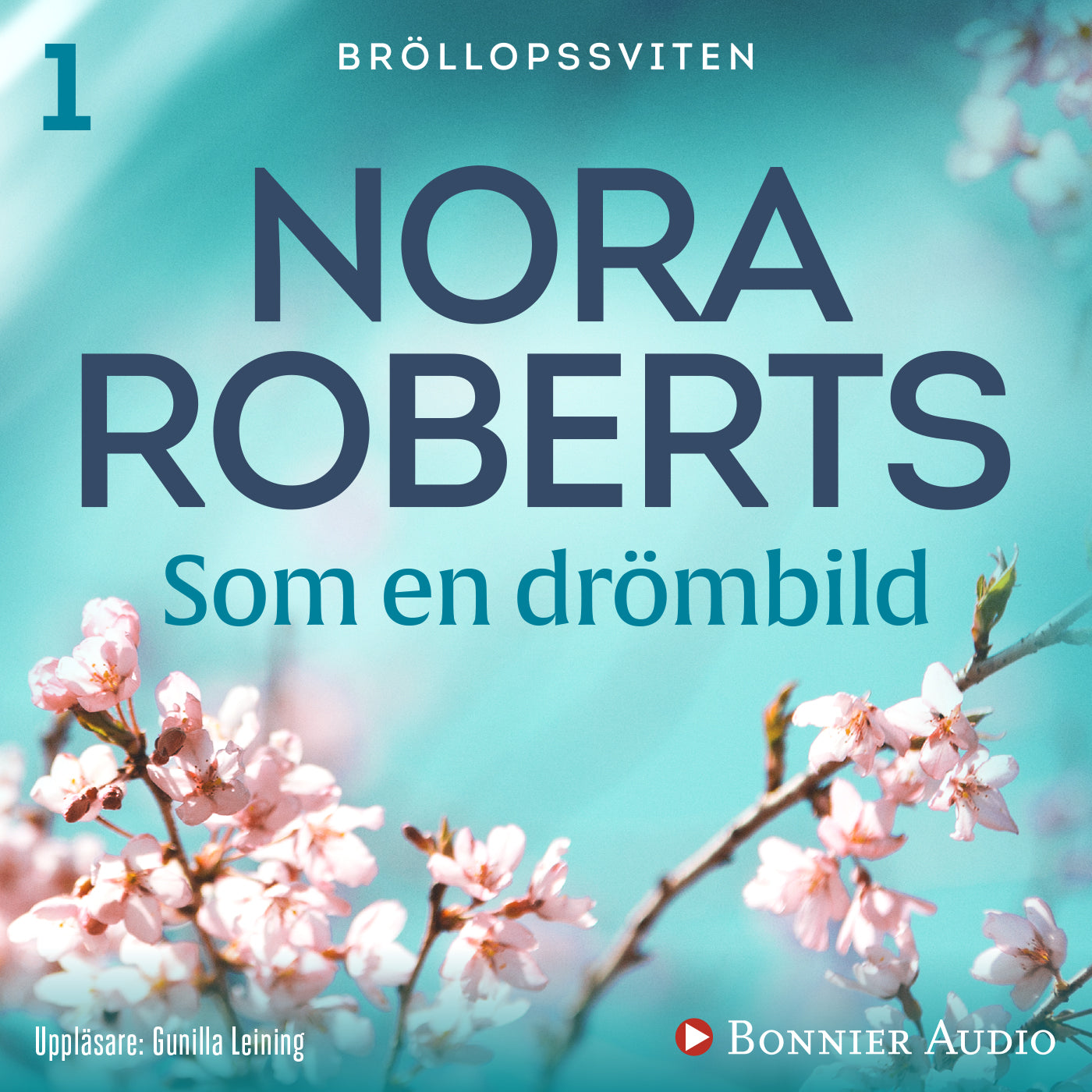 Som en drömbild – Ljudbok