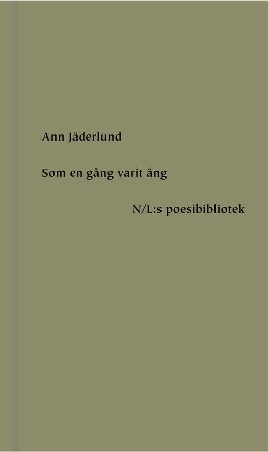 Som en gång varit äng – E-bok