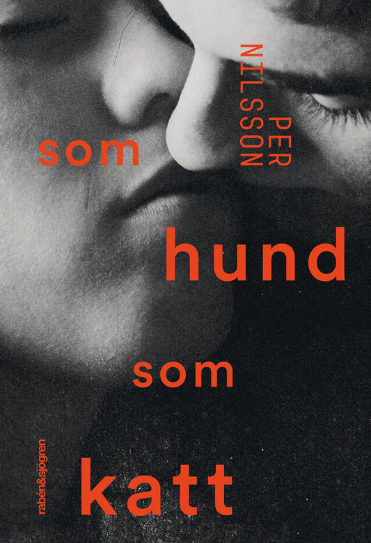 Som hund som katt – E-bok