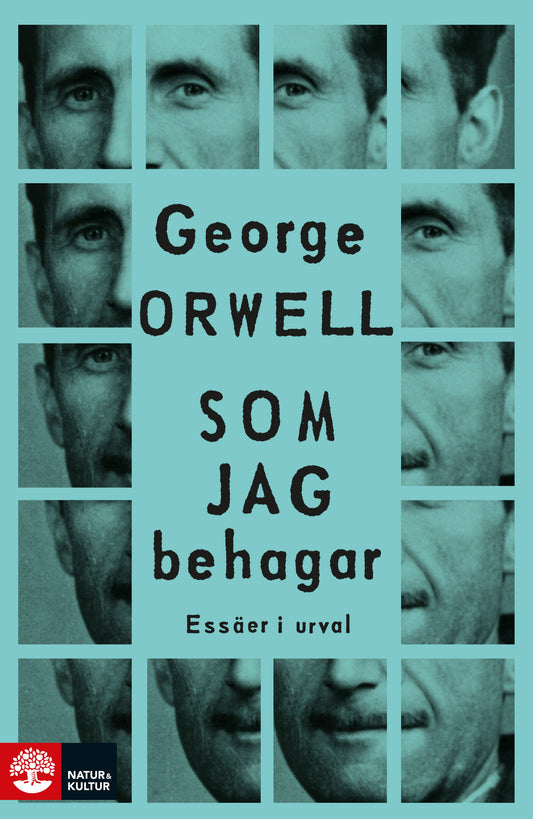 Som jag behagar : essäer i urval – E-bok