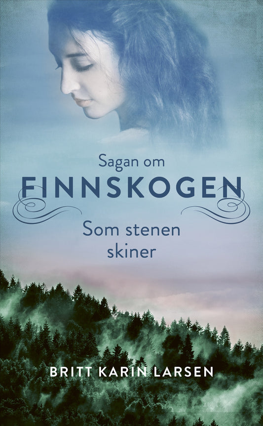 Som stenen skiner – E-bok