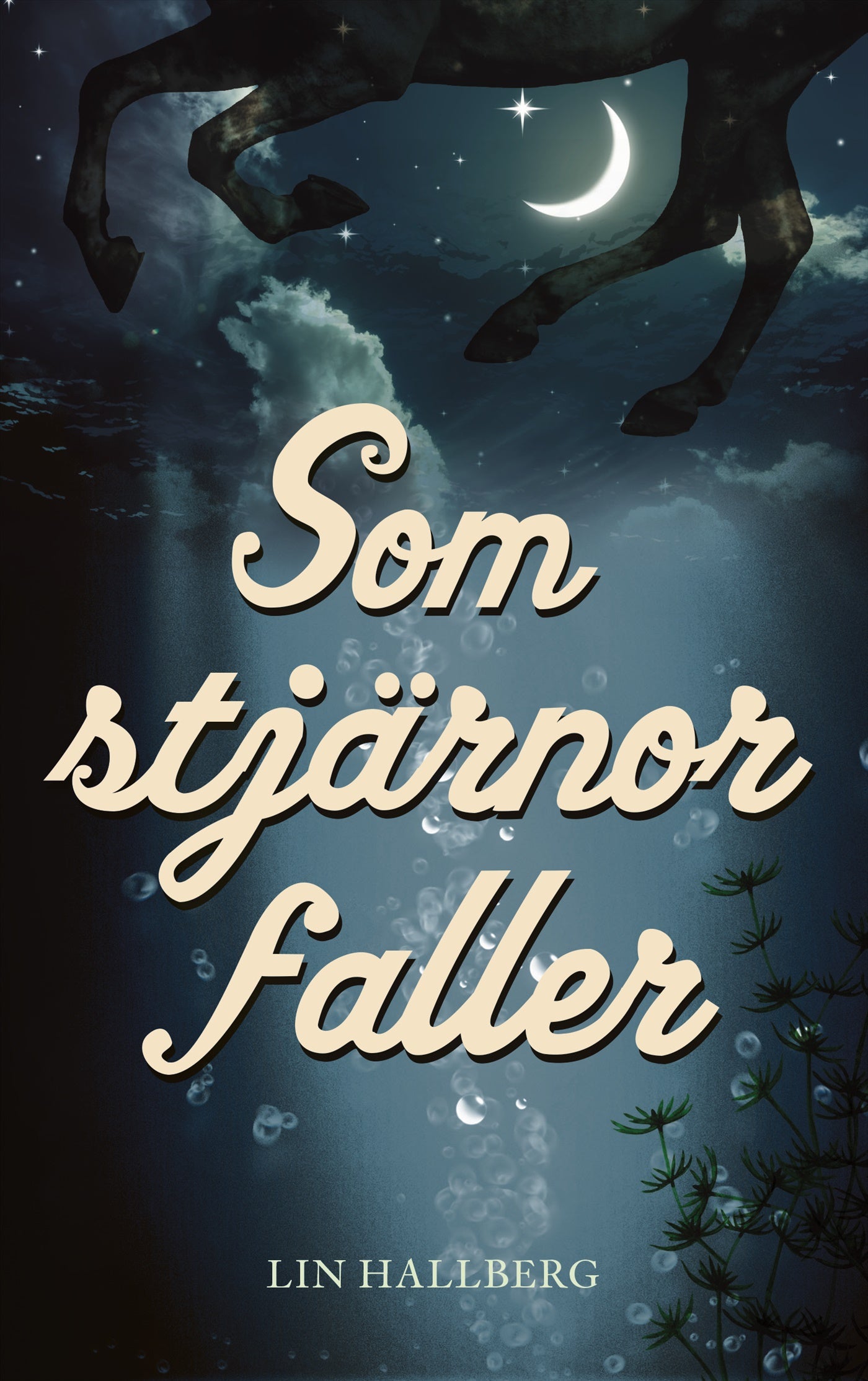 Som stjärnor faller – E-bok