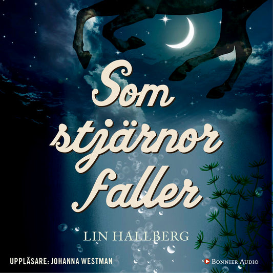 Som stjärnor faller – Ljudbok