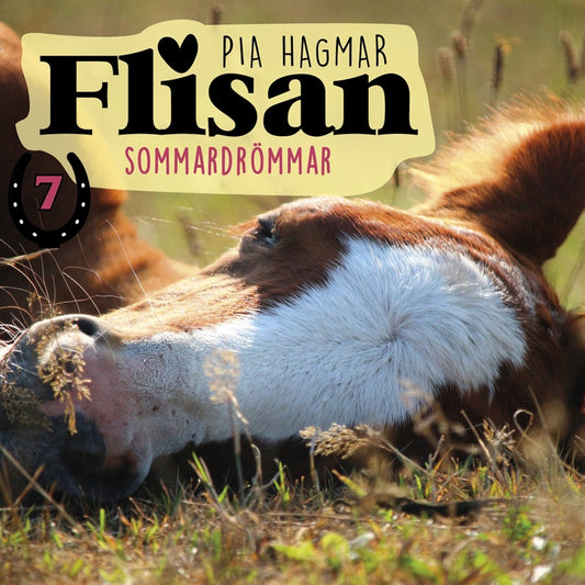 Sommardrömmar – Ljudbok