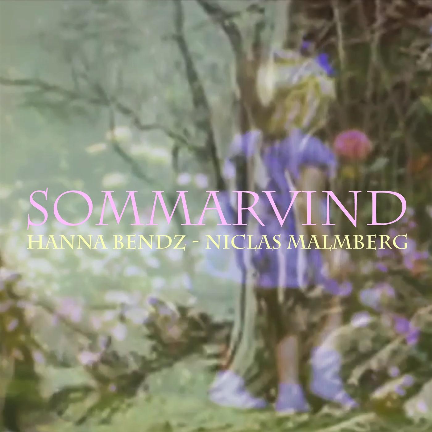 Sommarvind – E-bok