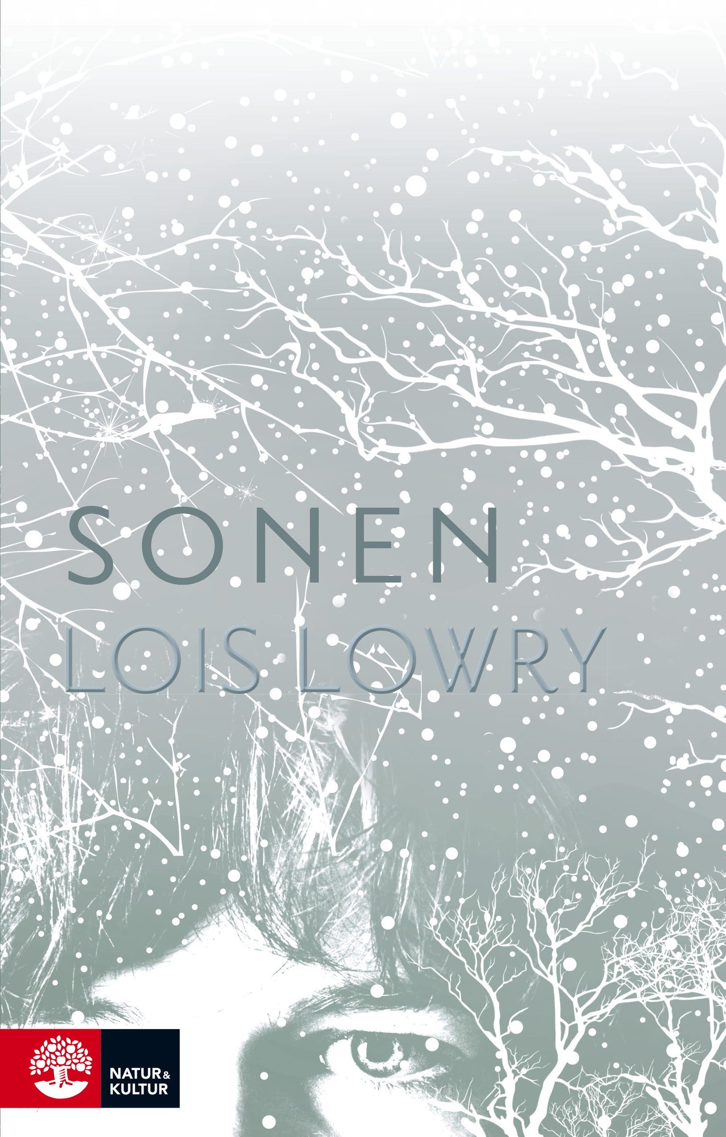 Sonen – E-bok