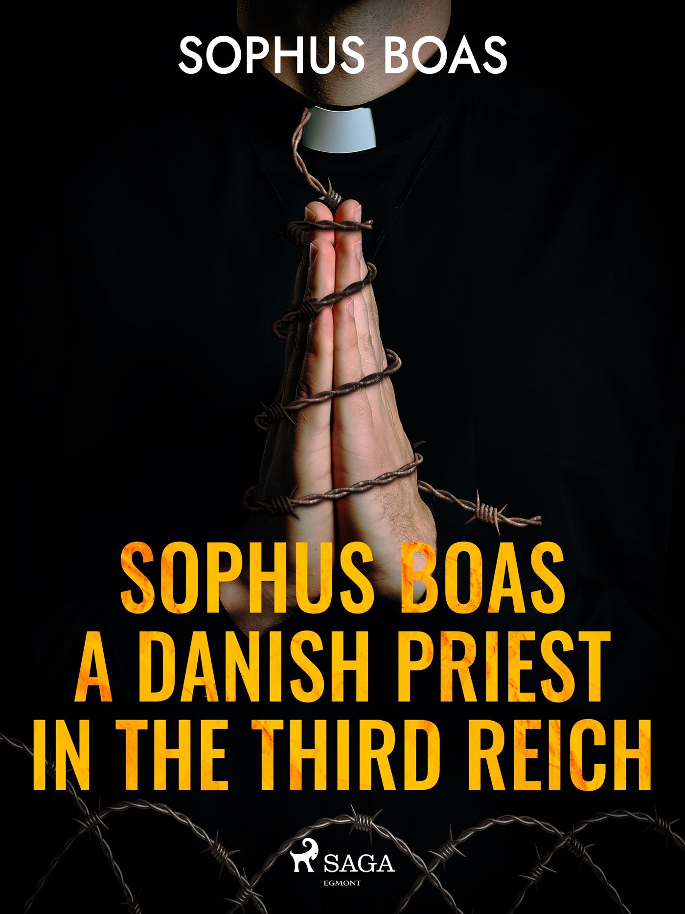 Sophus Boas - A Danish Priest in the Third Reich – E-bok