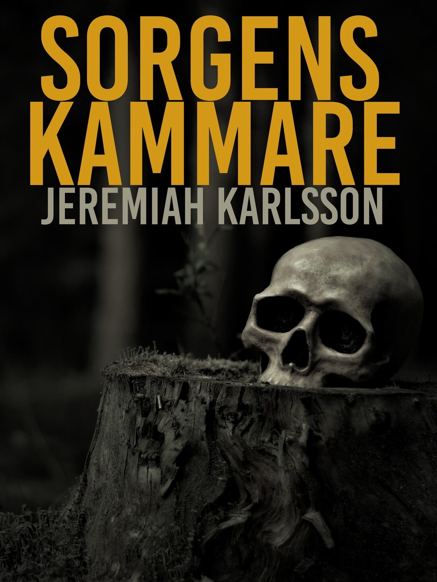 Sorgens kammare – E-bok