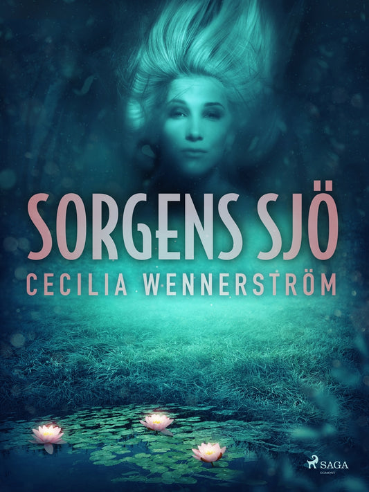 Sorgens sjö – E-bok