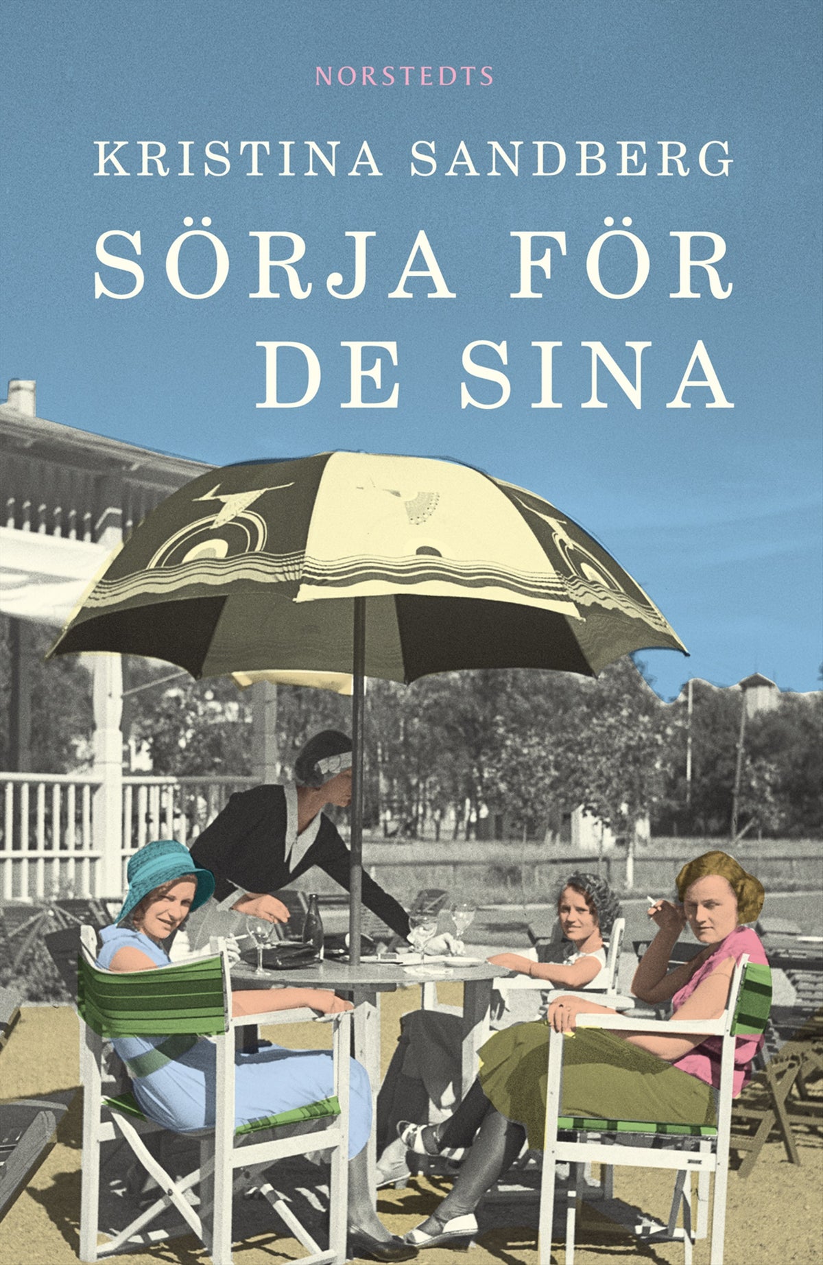 Sörja för de sina – E-bok