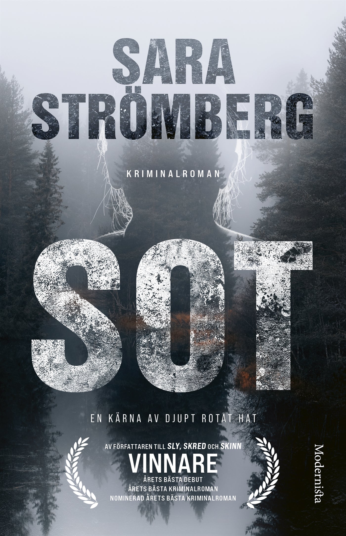 Sot – E-bok