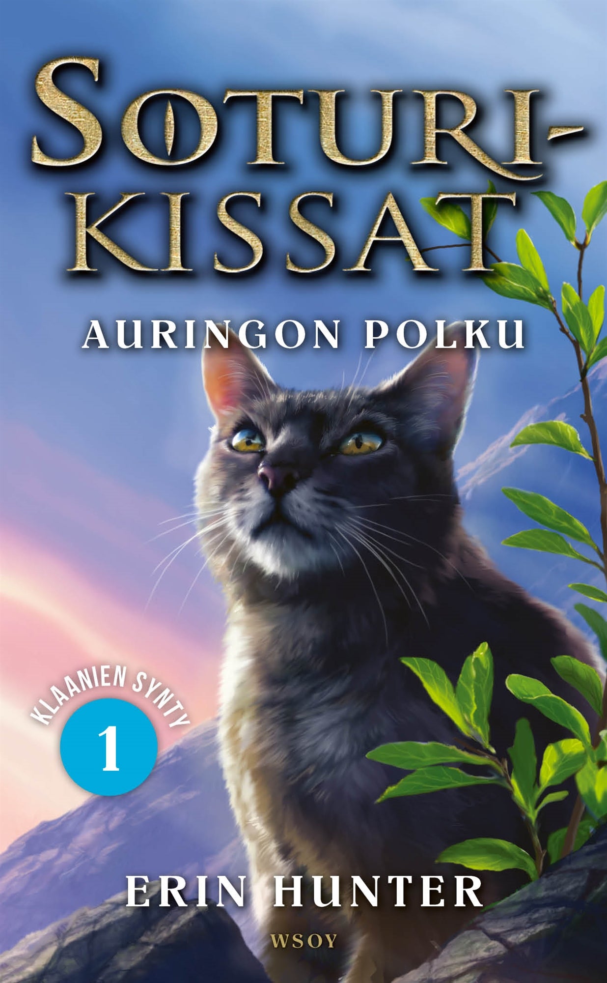 Soturikissat: Klaanien synty 1: Auringon polku – E-bok