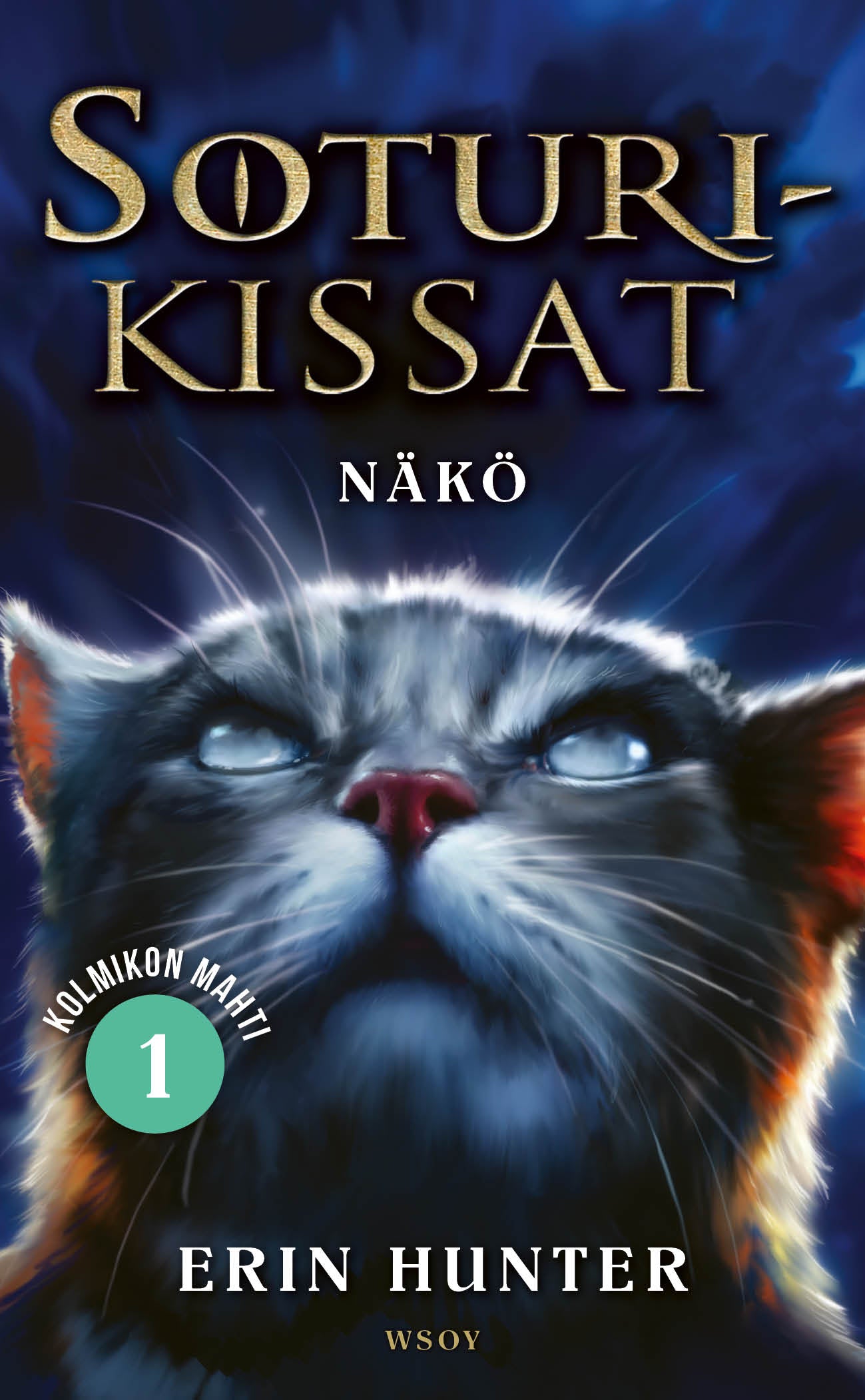 Soturikissat: Kolmikon mahti 1: Näkö – E-bok