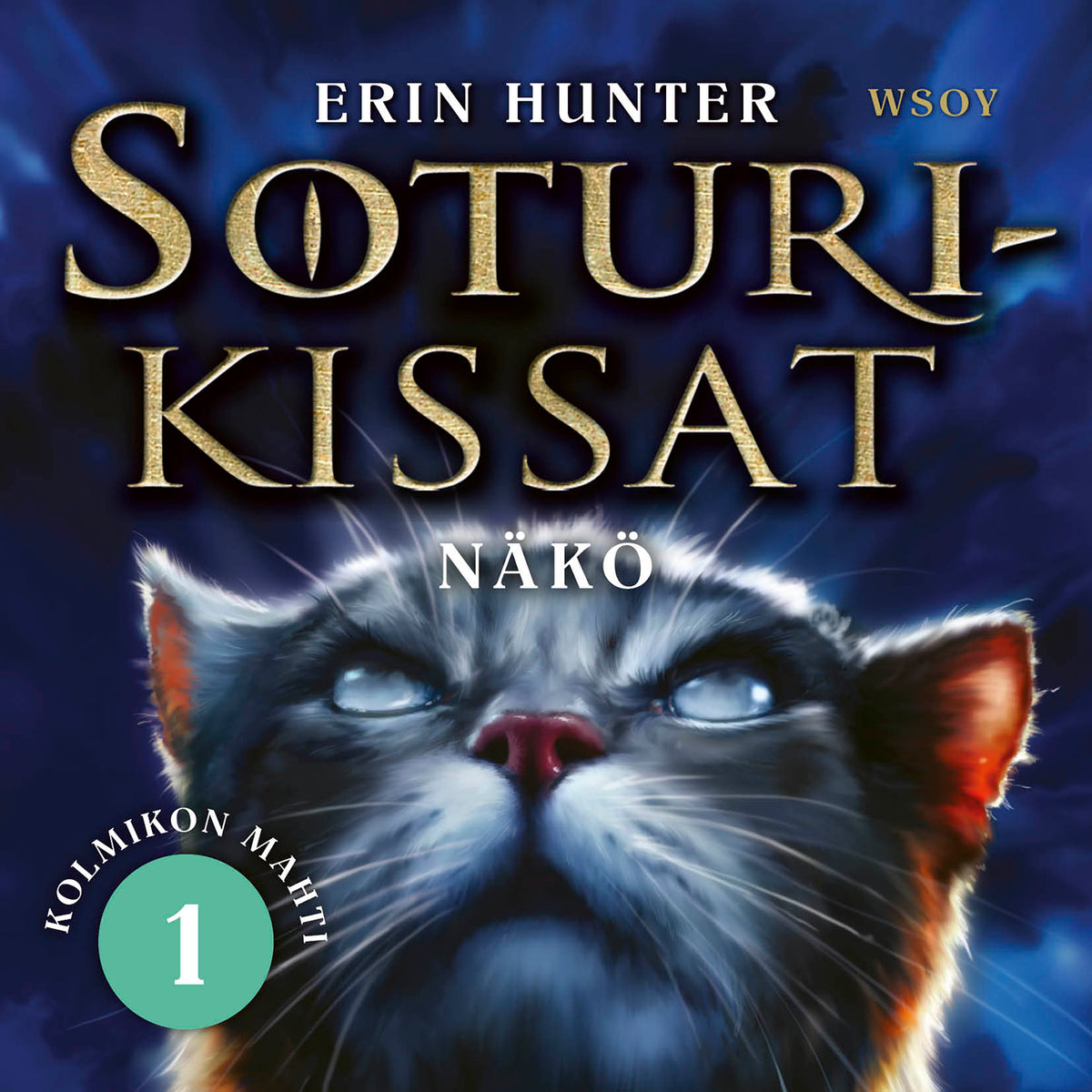 Soturikissat: Kolmikon mahti 1: Näkö – Ljudbok