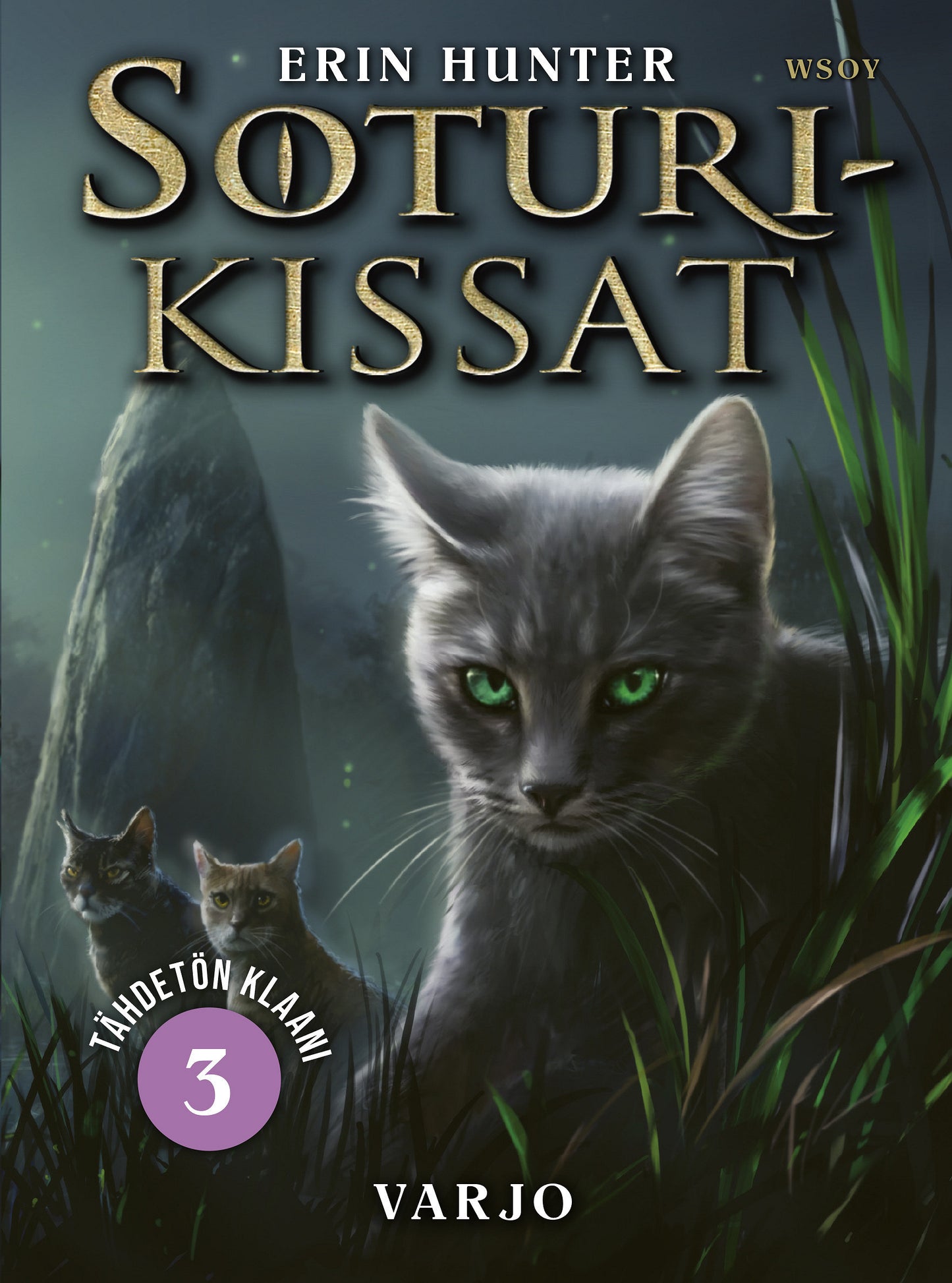 Soturikissat: Tähdetön klaani 3: Varjo – E-bok