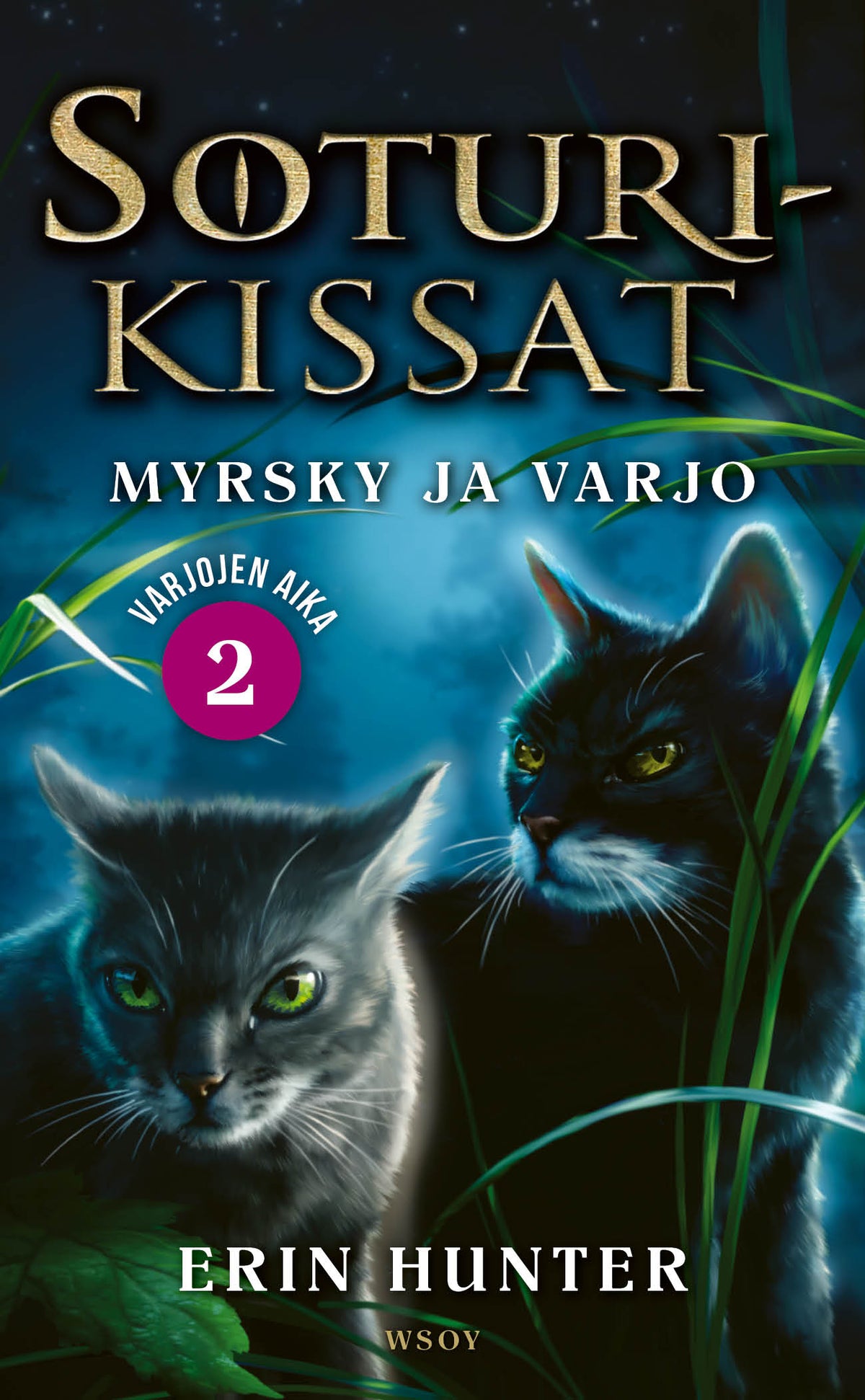 Soturikissat: Varjojen aika 2: Myrsky ja varjo – E-bok