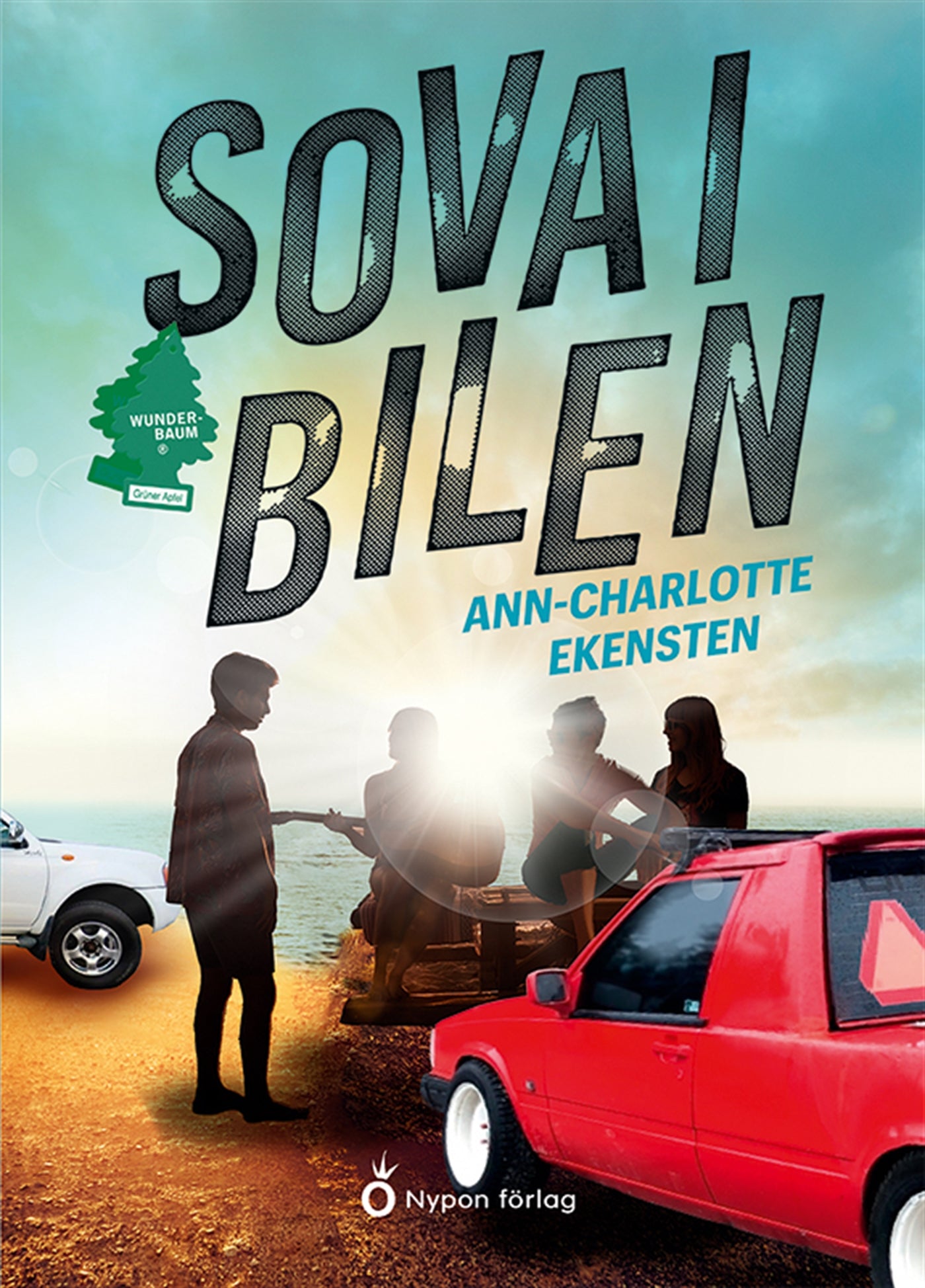 Sova i bilen – E-bok