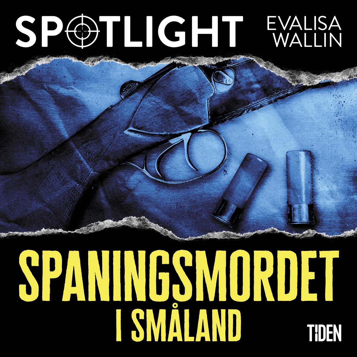 Spaningsmordet i Småland – Ljudbok