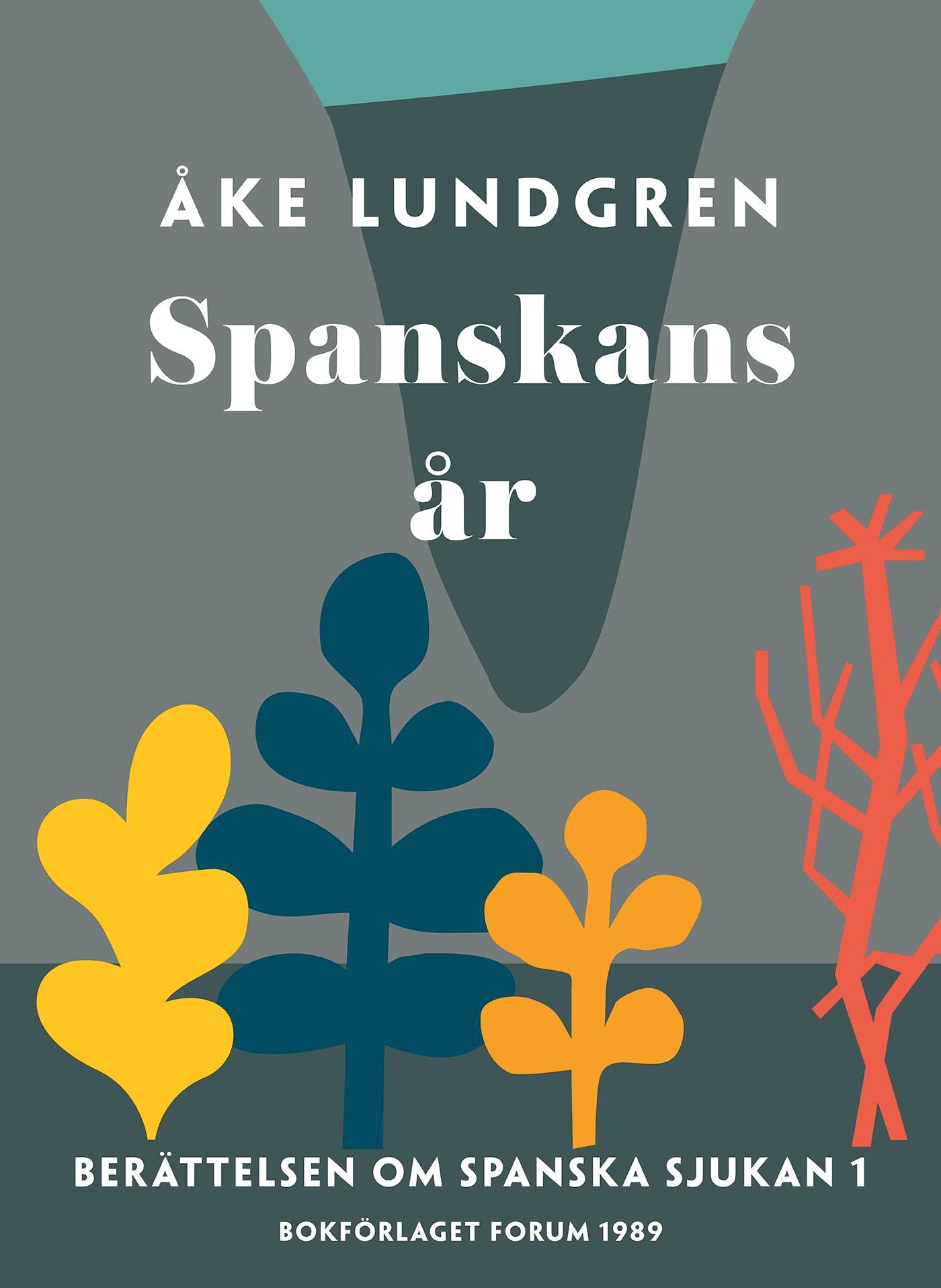 Spanskans år – E-bok