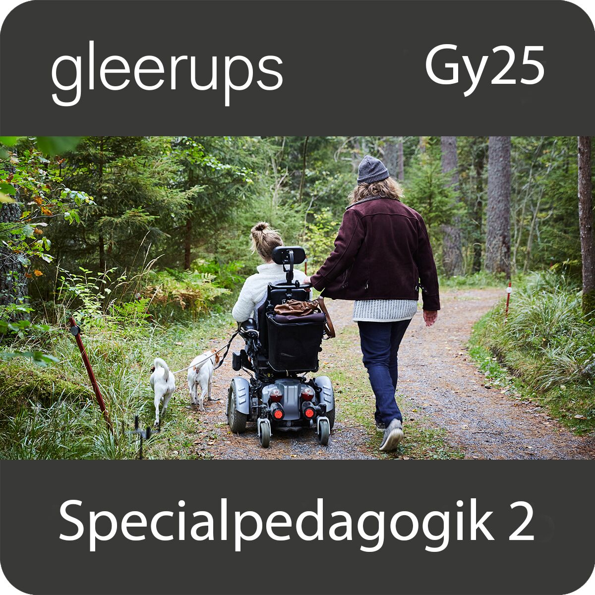 Specialpedagogik 2, digitalt läromedel, elev, 6 mån, Gy25