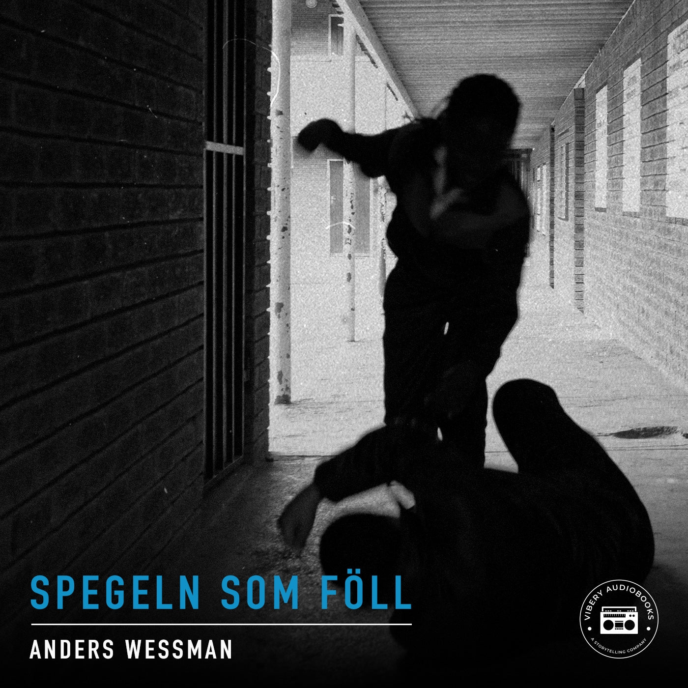 Spegeln som föll - en kriminalroman – Ljudbok