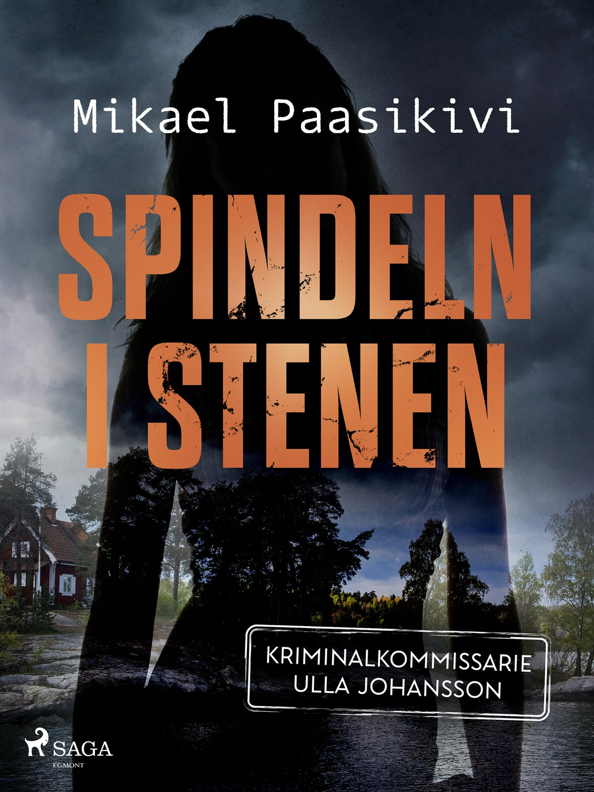 Spindeln i stenen – E-bok