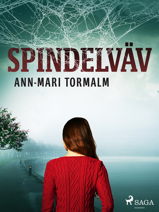 Spindelväv – E-bok