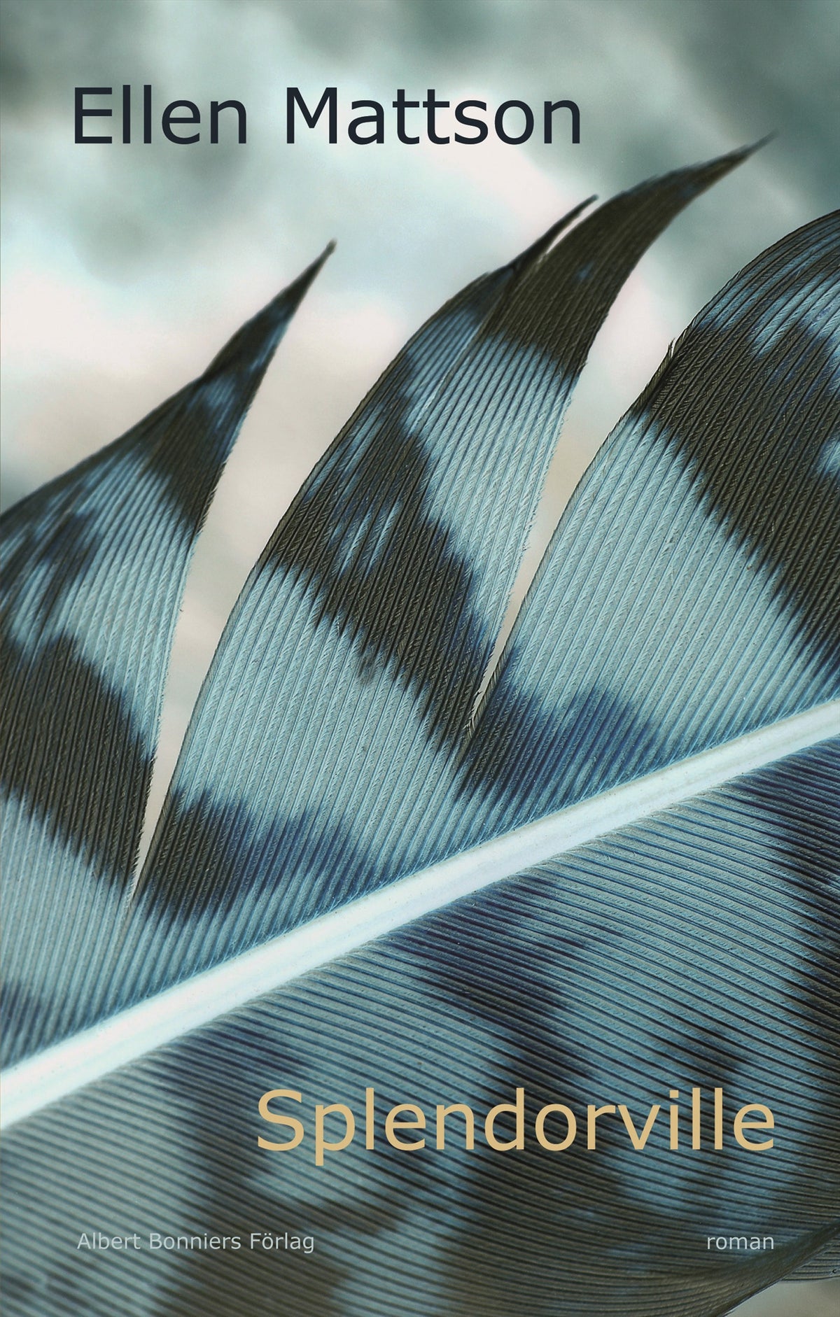 Splendorville – E-bok