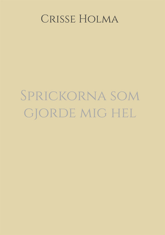 Sprickorna som gjorde mig hel – E-bok
