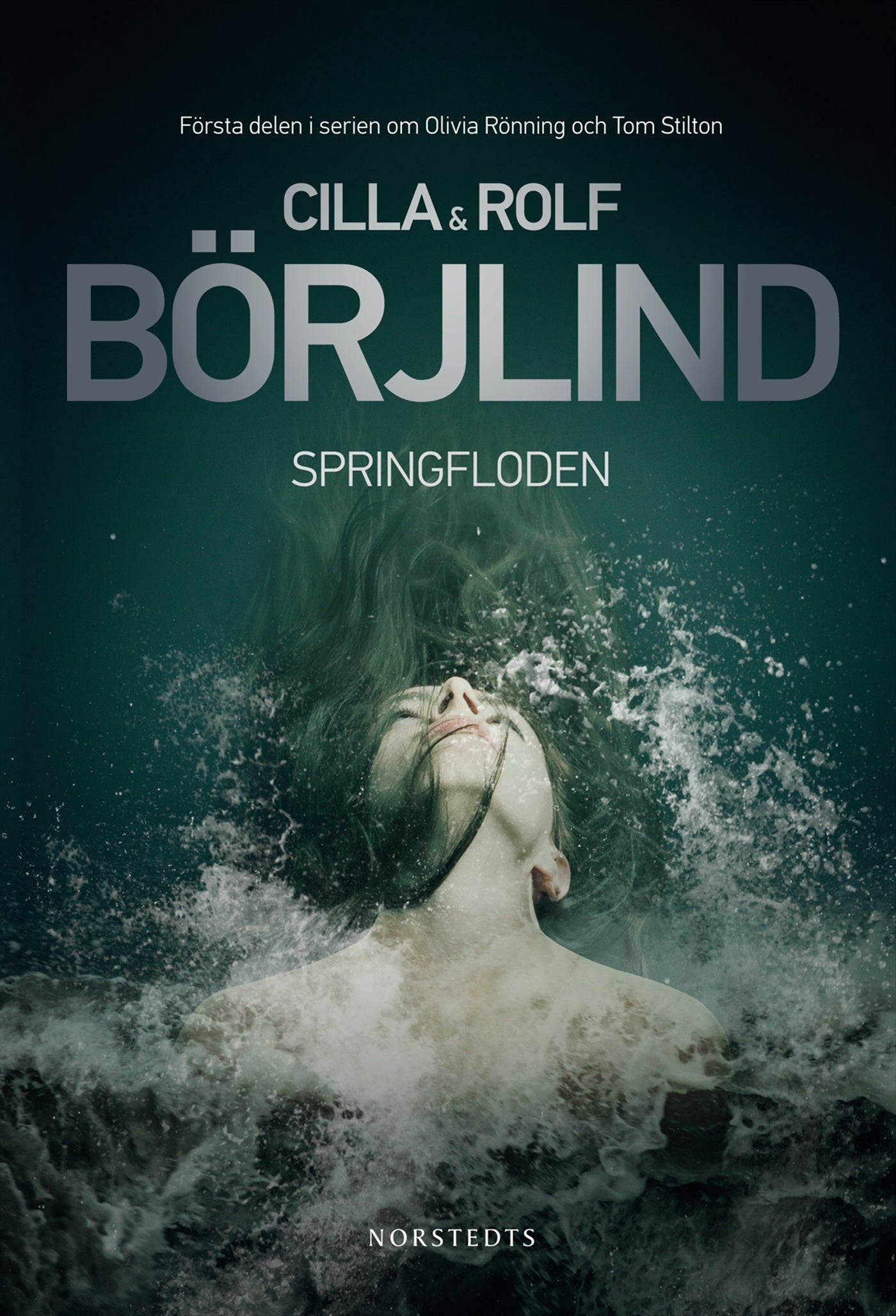 Springfloden – E-bok