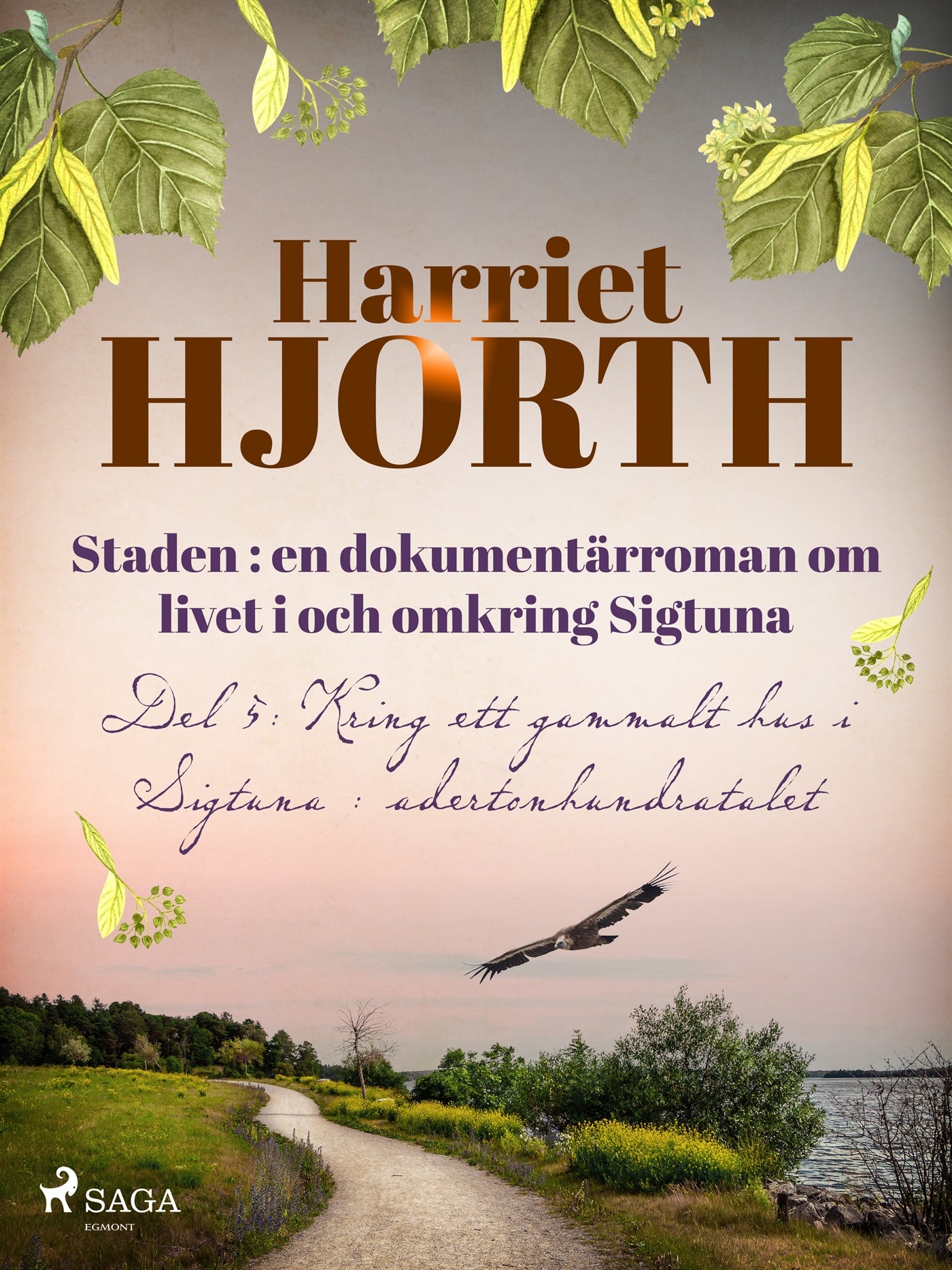 Staden : en dokumentärroman om livet i och omkring Sigtuna – E-bok