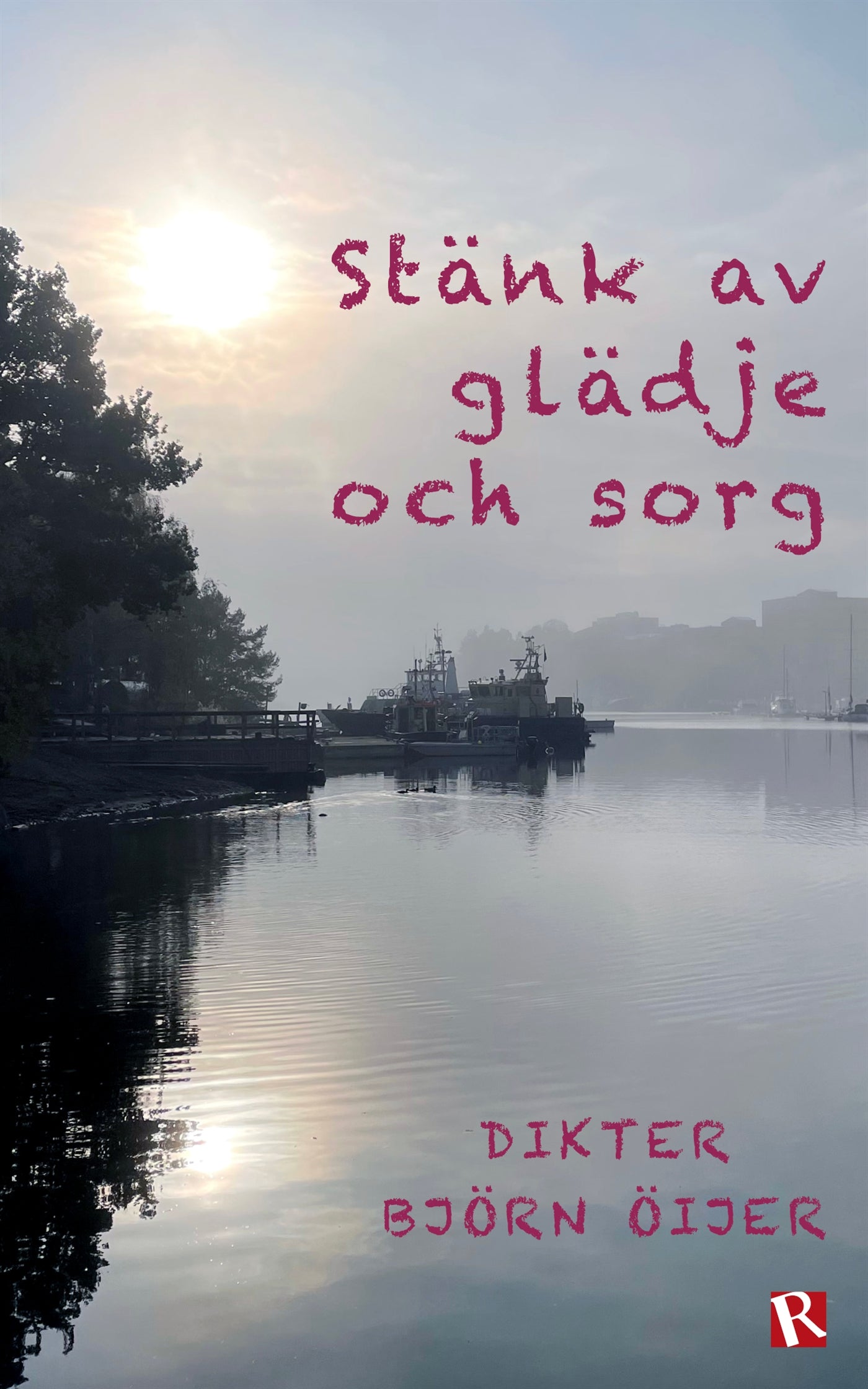 Stänk av glädje och sorg : Dikter – E-bok