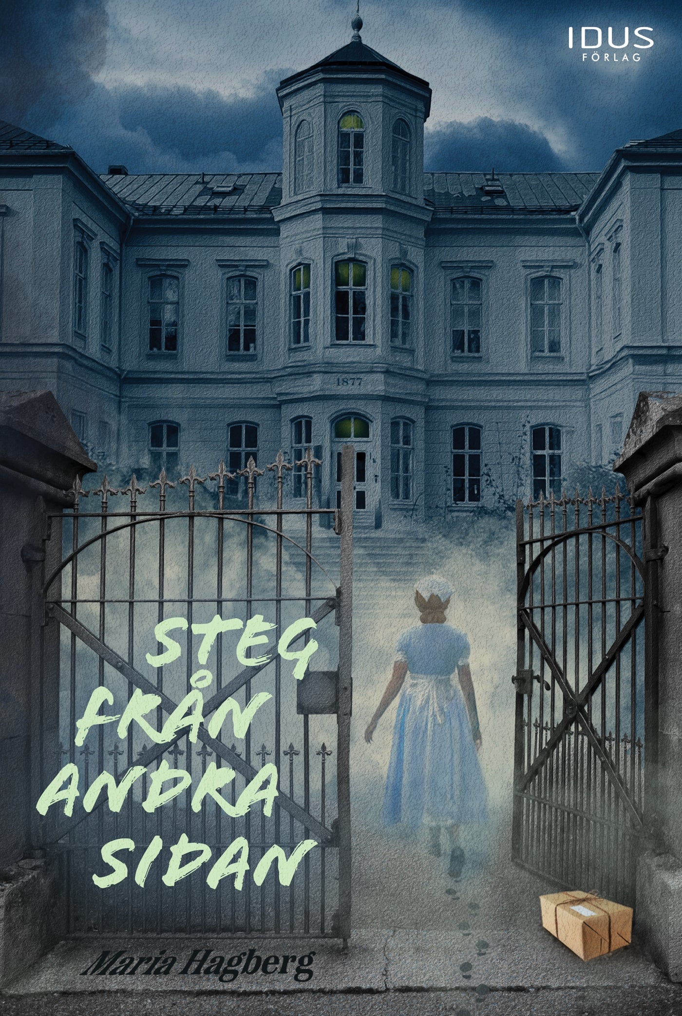 Steg från andra sidan – E-bok