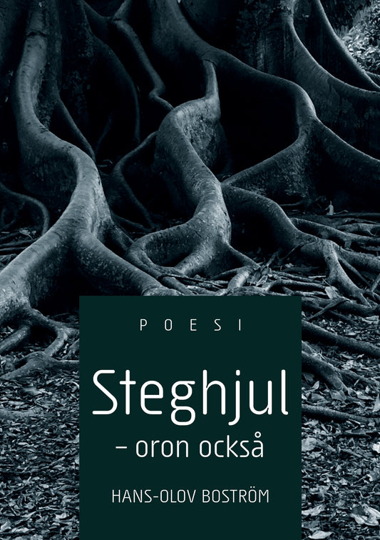 Steghjul - Oron också – E-bok