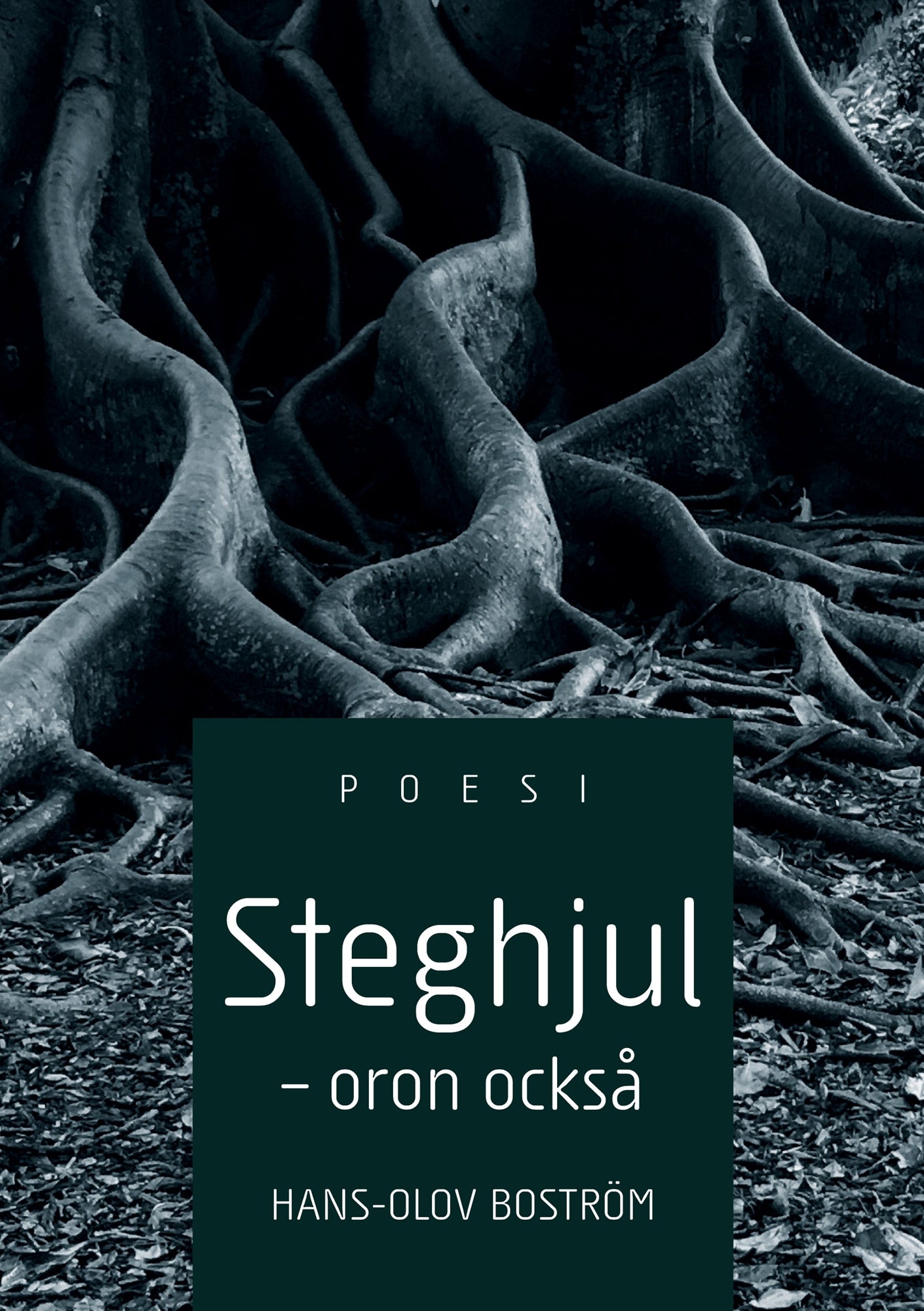 Steghjul - Oron också – E-bok
