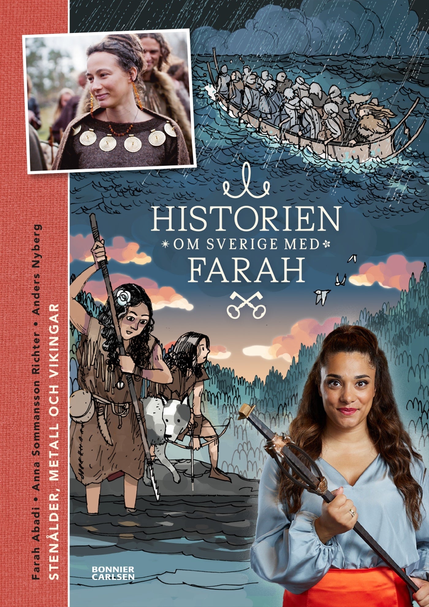 Stenålder, metall och vikingar – E-bok