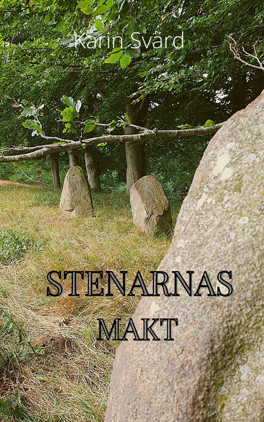 Stenarnas makt – E-bok