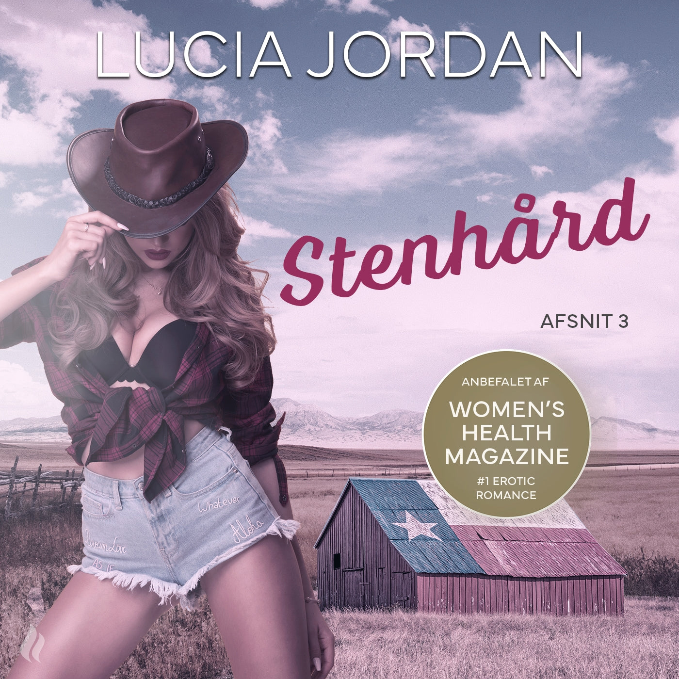 Stenhård - afsnit 3 – Ljudbok