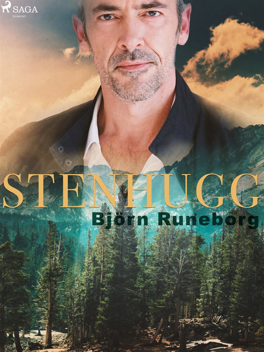 Stenhugg – E-bok