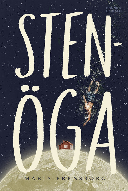 Stenöga – E-bok