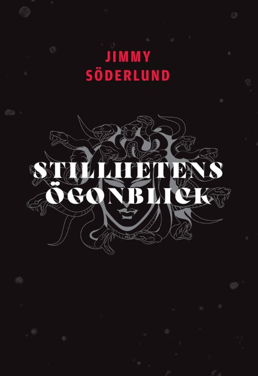 Stillhetens ögonblick – E-bok