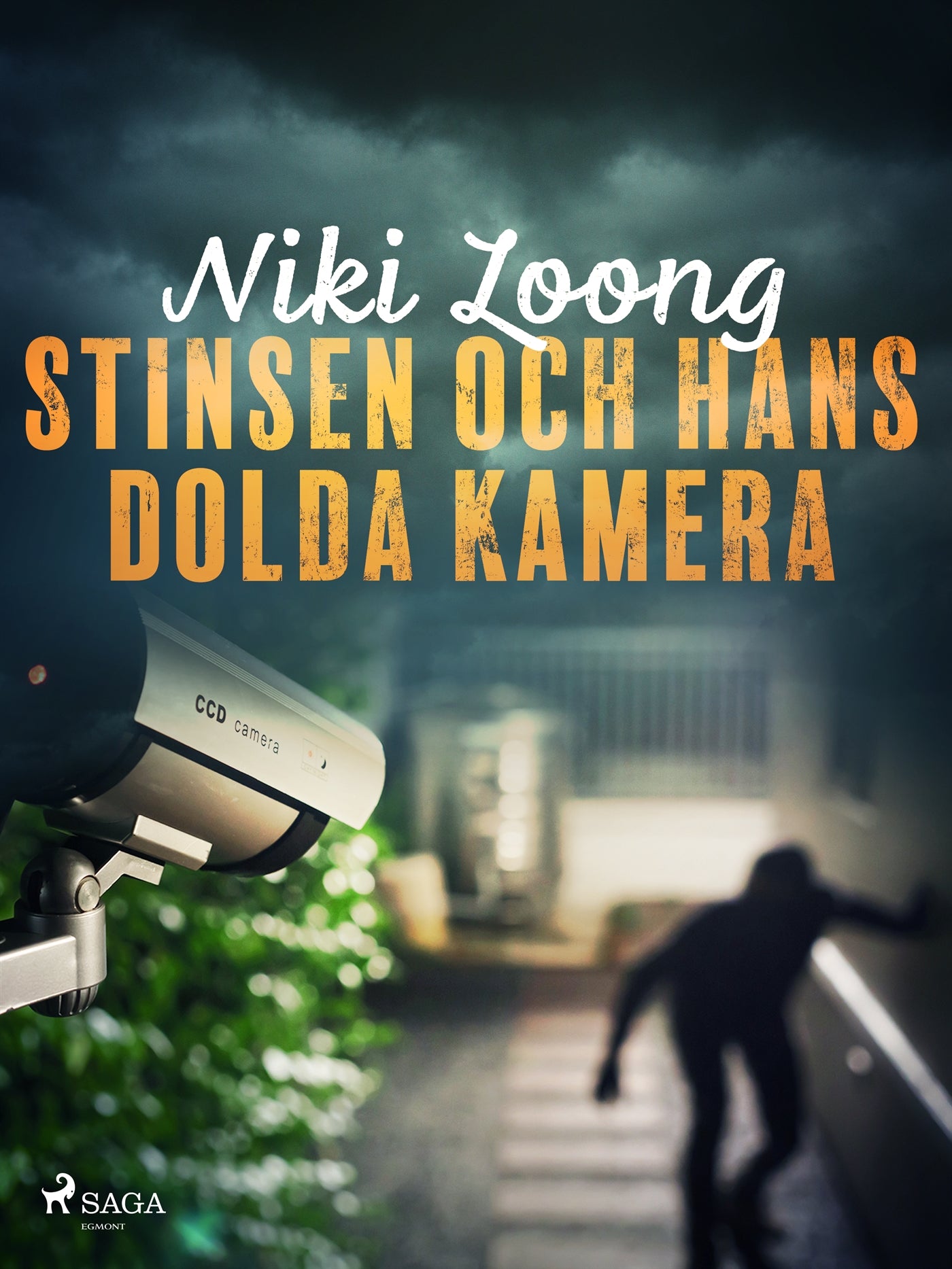 Stinsen och hans dolda kamera – E-bok