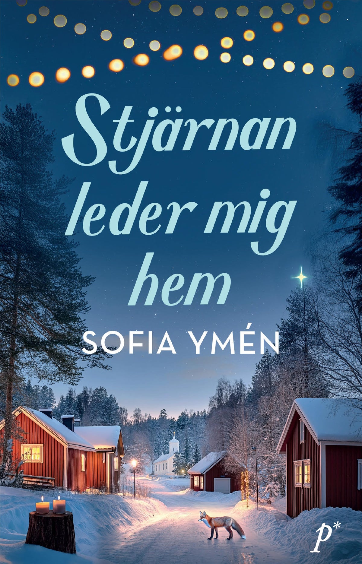 Stjärnan leder mig hem – E-bok