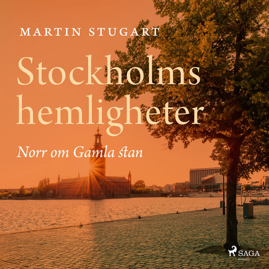 Stockholms hemligheter - Norr om Gamla stan – Ljudbok