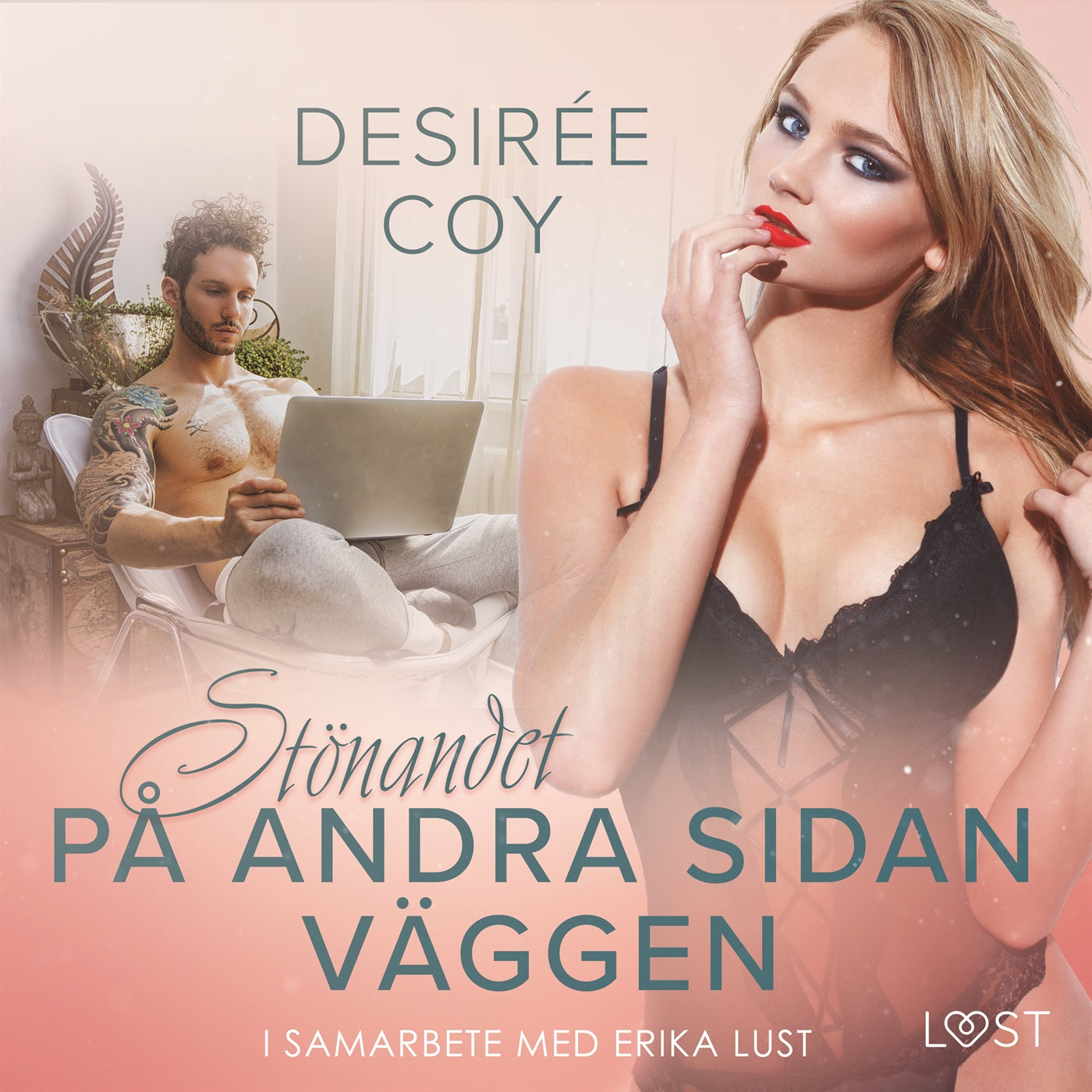 Stönandet på andra sidan väggen - erotisk novell – Ljudbok