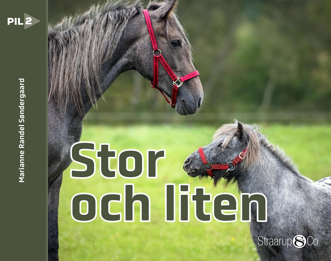 Stor och liten  – E-bok