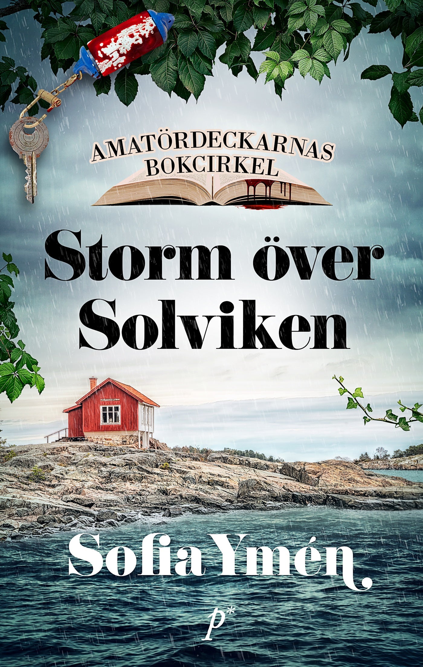 Storm över Solviken – E-bok